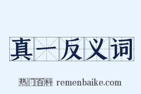 真一反义词是什么意思的图片